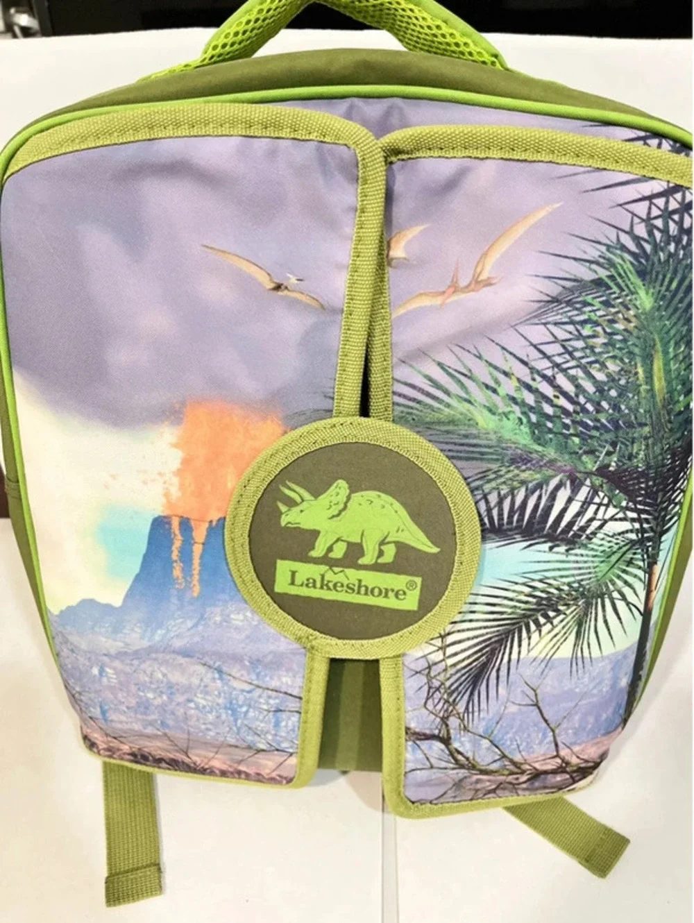 Lakeshore Scenic Dinosaur Fold Out Play Mat Green Children’s Kids Backpack